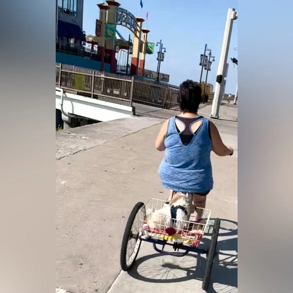 Rainbeau Ginger Mesh Detail Back Tank Top Muscle Tee 18/20 2X Plus Size - Picture 5 of 9